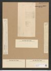 Nitzschia spectabilis (Ehr.) Ralfs. (de-Toni-Nr.: Genus 47, Species 2110) Zeichnungen Sammlung Grunow Nr. 4215 (NHMW-BOT-W0372146)
